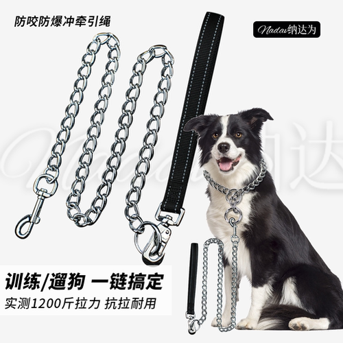 Nadav纳达为分离式训练链