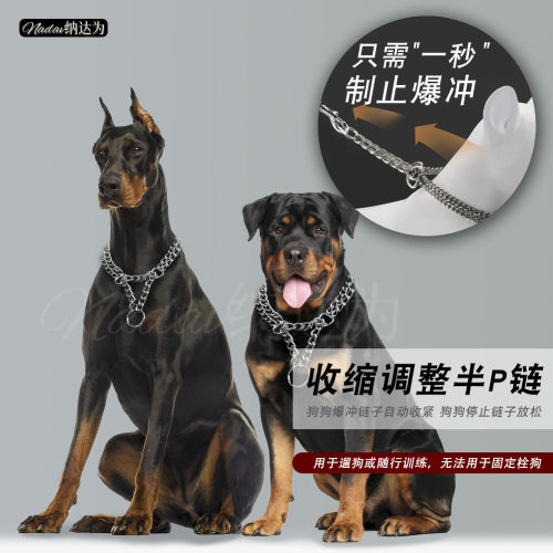 Nadav防咬防爆冲半P链狗狗项圈