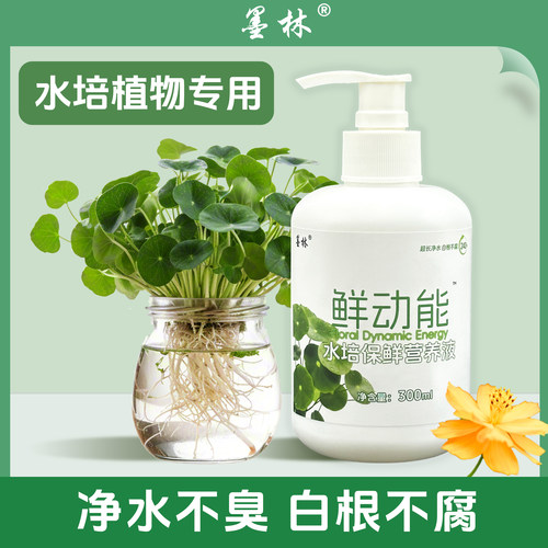 墨林水培植物保鲜营养液富