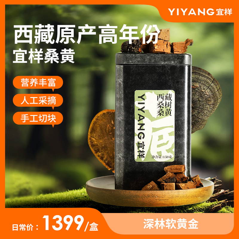 宜样西藏正品特级桑树桑黄野生桑黄切片袋装