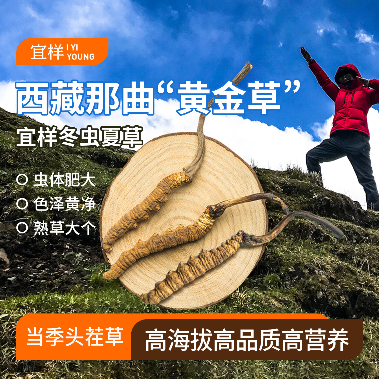 宜样冬虫夏草西藏那曲虫草干货
