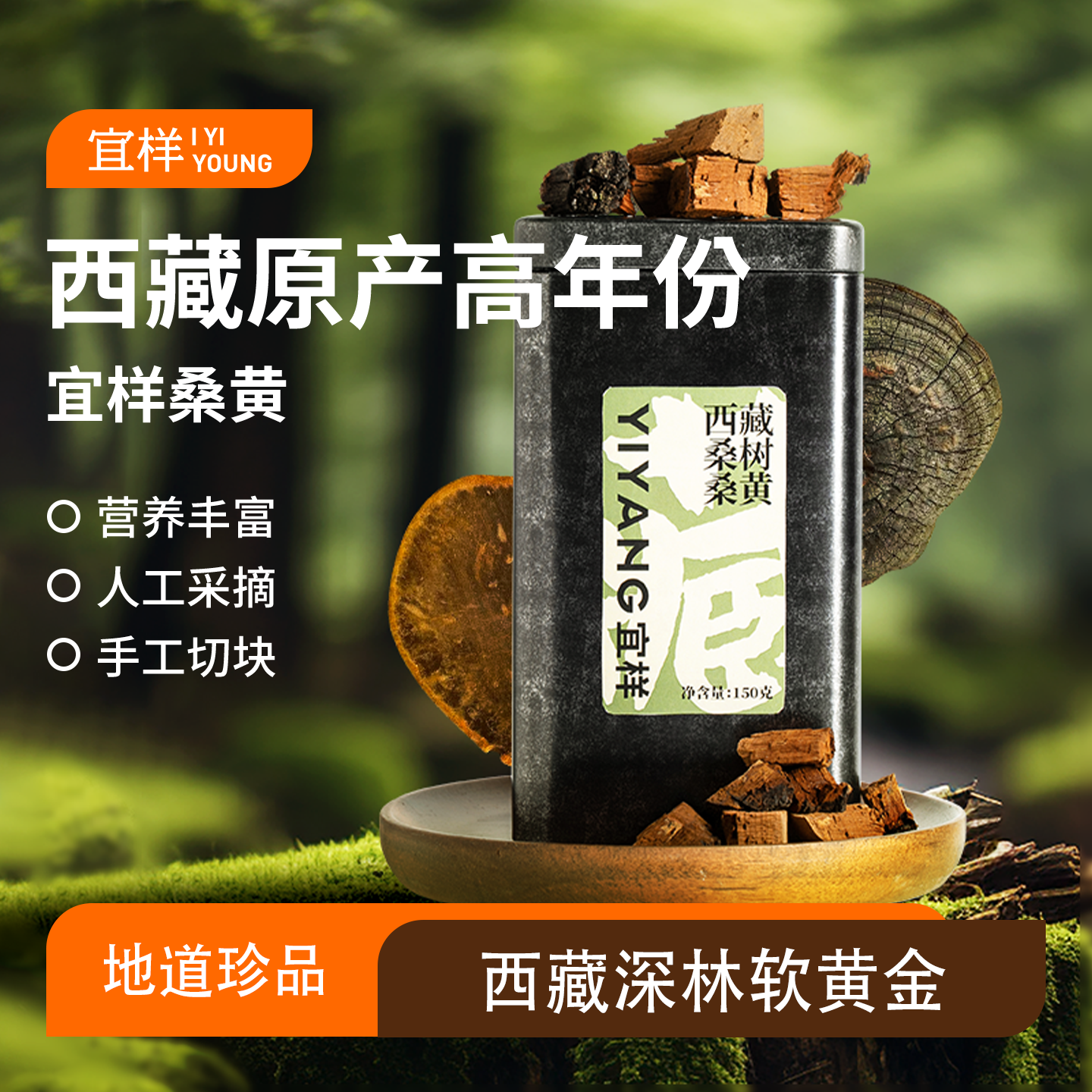 宜样西藏正品特级桑树桑黄野生桑黄切片袋装