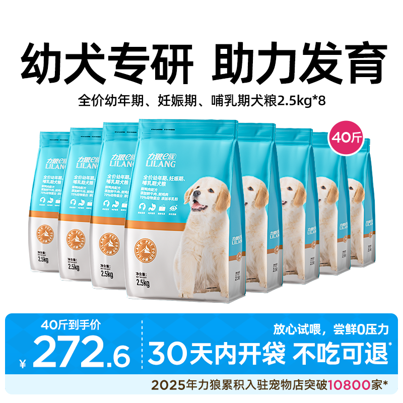 力狼专用毛拉泰迪柯基斤装幼犬
