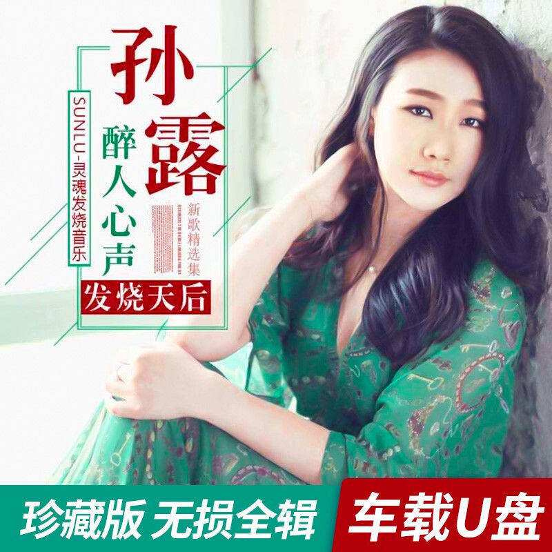 孙露歌曲全集U盘无损HIFI音质经典新老歌曲全合集汽车载音乐优盘