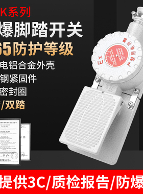 防爆脚踏开关dLXK单踏双踏220V 380V防爆脚踏行程开关IP65 IIC T6