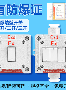 防爆墙壁开关220V10A明装暗装86型单联双联三联双控翘板照明开关