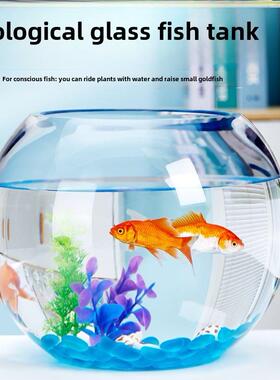 Super white aquarium glass fish box fish tank