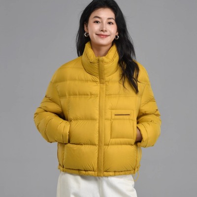 小个子立领排骨时尚短款羽绒服女