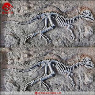 原角翼龙肿头龙迅猛龙化石块儿童沙坑考古发掘仿真恐龙玻璃钢化石