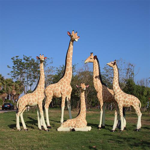 新户外大型仿真长颈鹿玻璃钢雕塑假动物模型园区景观草坪装饰摆件