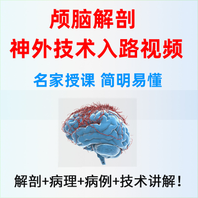 颅脑解剖技术神外手术入路视频教程颞下手神经系统解剖病例分析