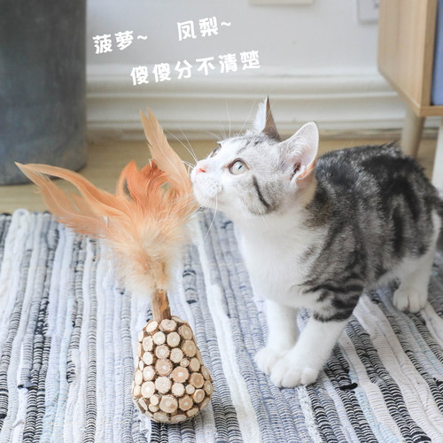 玩趣菠萝猫咪玩具自嗨解闷耐咬羽毛木天蓼磨牙棒猫薄荷猫球逗猫棒 - 封面