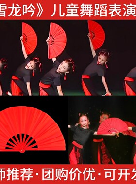 雪龙吟舞蹈扇子儿童表演中国风太极扇双面红色金色折扇武术功夫扇