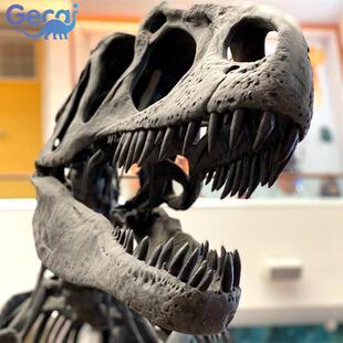 大型仿真恐龙骨骼化石模型博物馆科普馆展览玻璃钢恐龙雕塑厂家