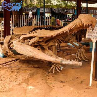 仿真动物恐龙骨架骨骼化石博物馆科普馆展览化石模型厂家定制