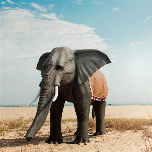 仿真动物大象:玻璃钢雕塑商场景区园林游乐园大型户外摆件