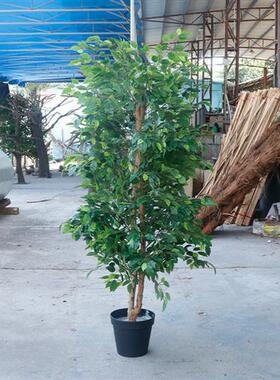 仿真榕树断桥铝红像树户外装饰摆件大型假树金古榕树仿真树橡树果