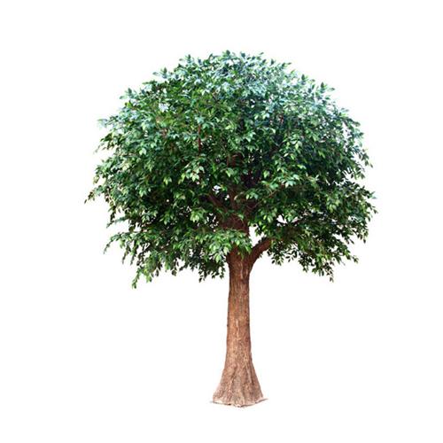 厂家供应仿真古树装饰榕树餐厅酒店造景室内户外造型树木装饰道具