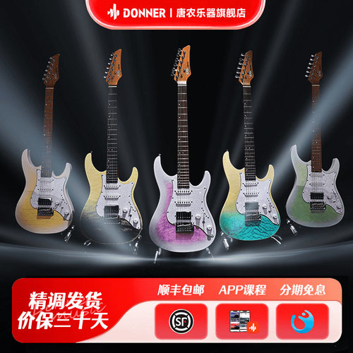 Donner唐农电吉他小双摇