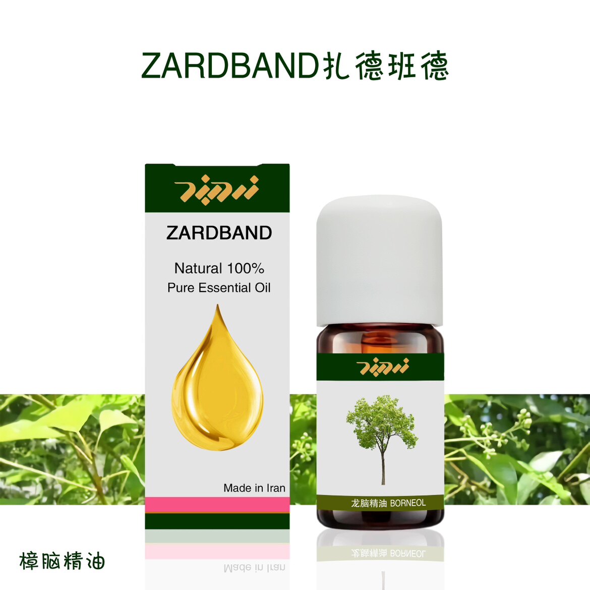 伊朗zb樟脑精油单方10ml龙脑樟