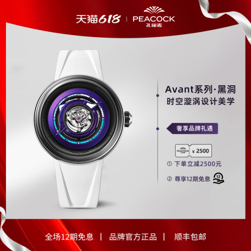 黑洞概念 中置陀飞轮