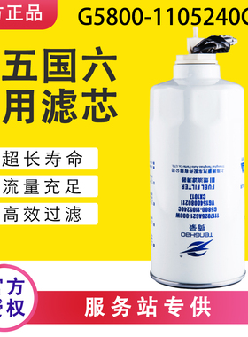G5800-1105240C适配重汽VG1540080211乘龙h5柴油滤芯CX1017滤清器