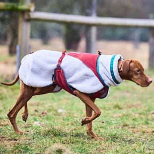 Non dog stop fleece jacket宠物狗狗秋冬保暖羊毛 Trekking 代购