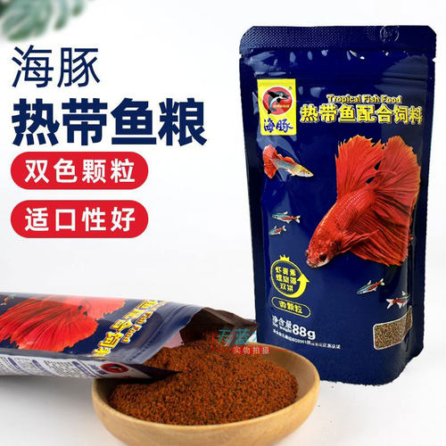 海豚热带观赏鱼不浑水高营养