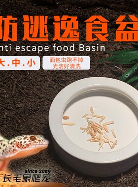 面包虫防逃逸陶瓷盆圆形豹纹守宫蜥蜴食盆饮水盆角蛙仓鼠芦丁鸡