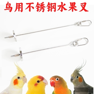 鸟用不锈钢鹦鹉水果叉签鹦鹉玩具鹦鹉用品大全喂水果鸟笼配件挂钩