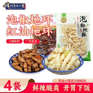 东北特产锦州百合小菜泡椒地环红油地环咸菜下饭菜新鲜宝塔菜泡菜