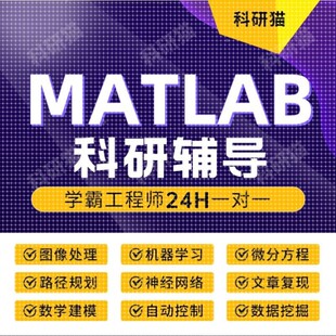 Matlab代码帮做程序代编图像处理通信仿真路径规划复现算法优化