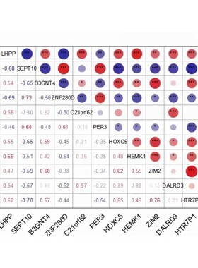 热图定制,HeatMap聚类热图,Correlation Plot相关性热图,生信