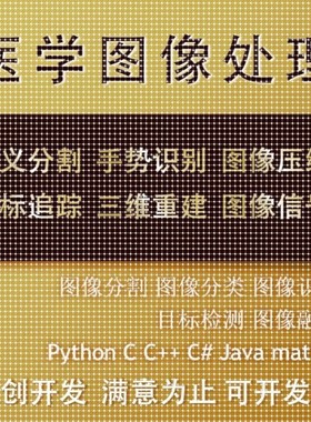 matlab医学图像处理分割代编图像识别python图像深度学习语义分割