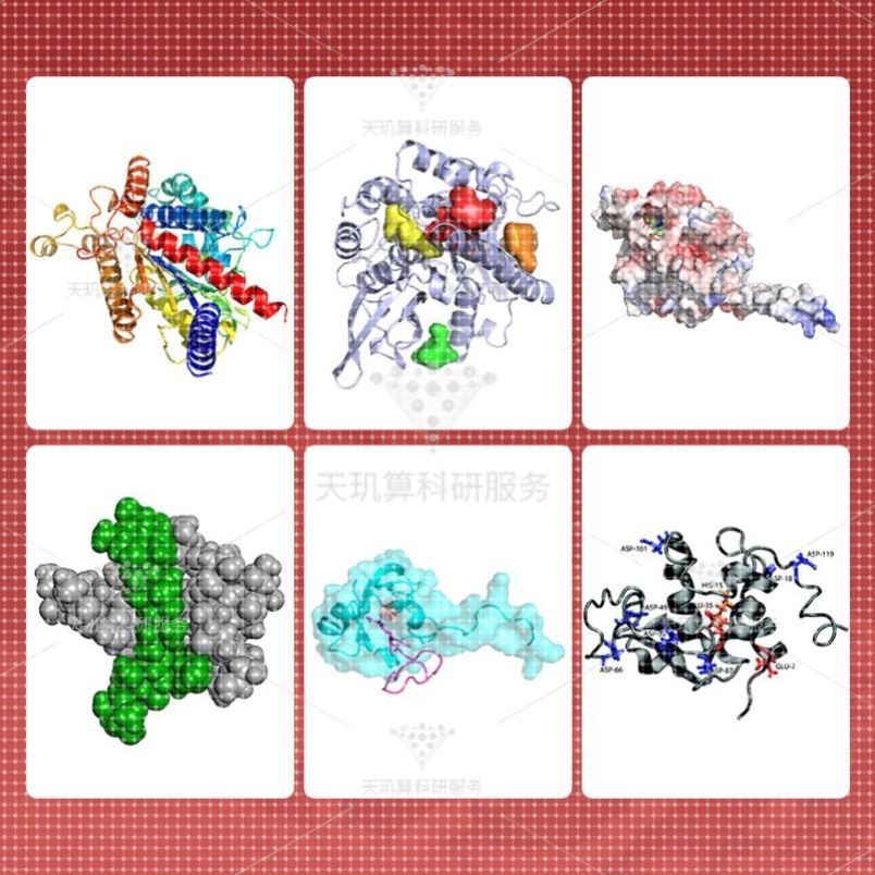 分子动力学模拟 代做 lammps gromacs amber 分子蛋白对接 MD代算