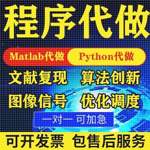 matlab代编程序代做帮做python代码复现算法仿真编写深度机器学习