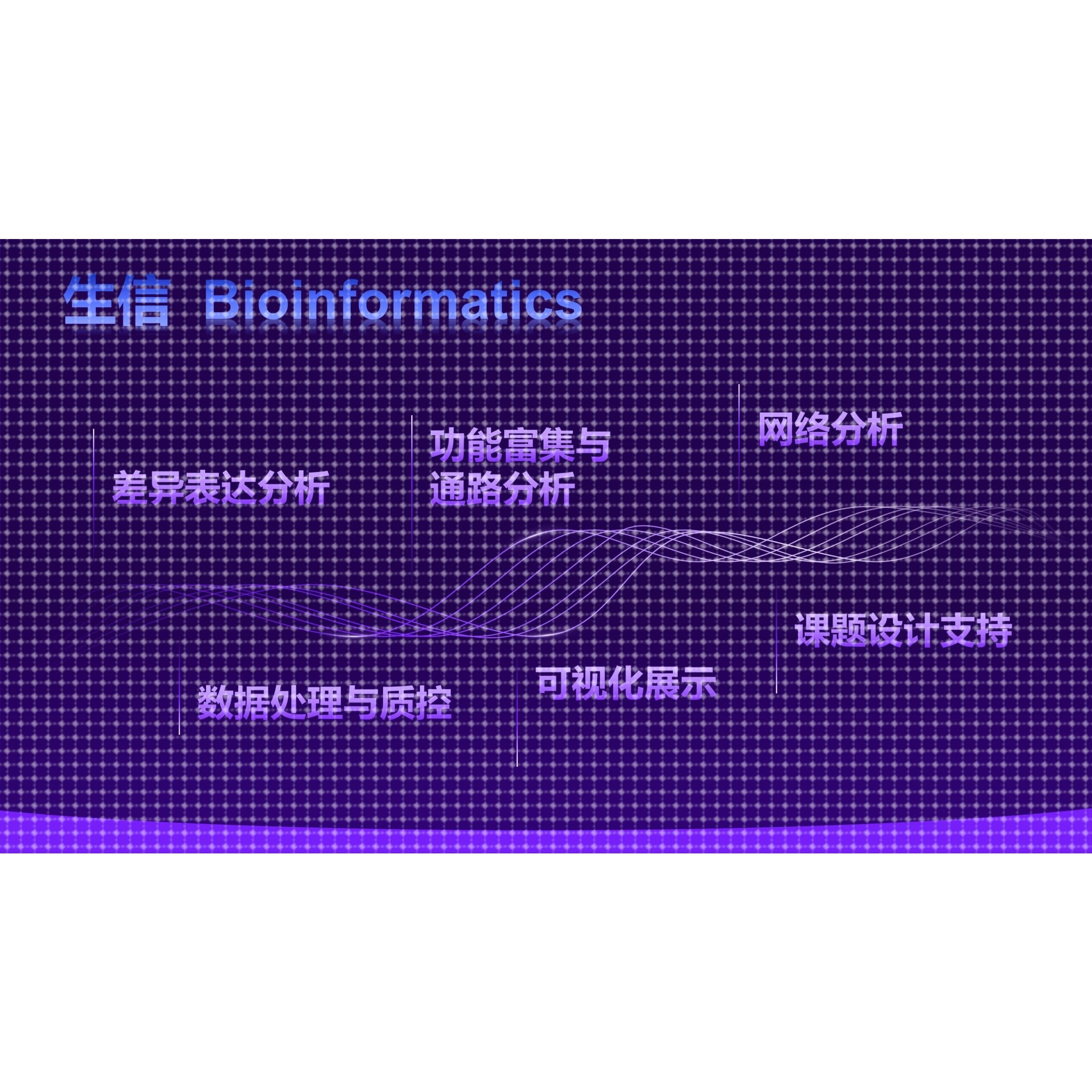 生信分析 Bioinformatics Analysis