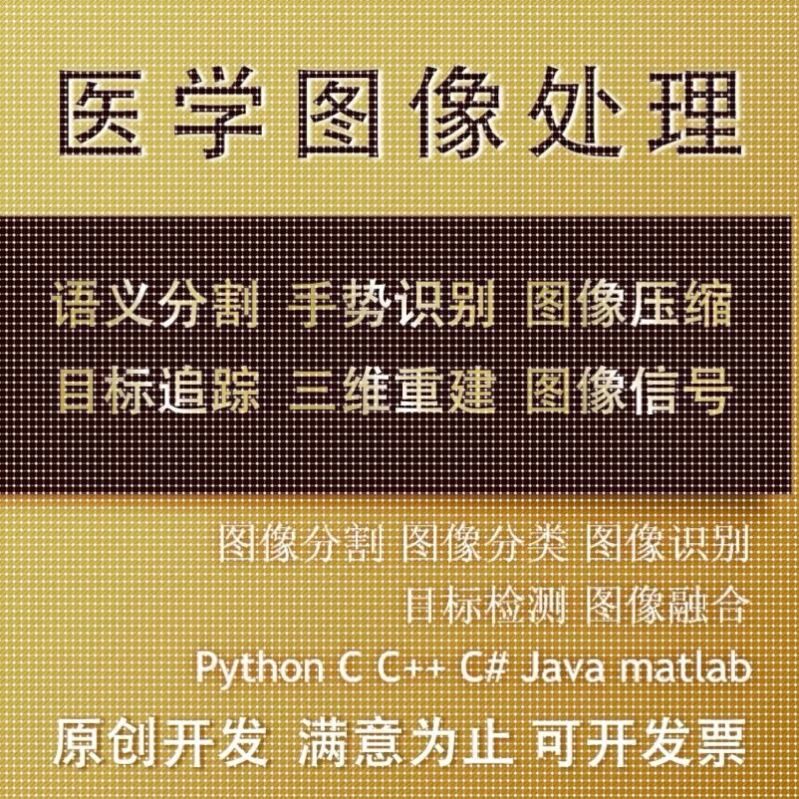 Python代编医学图像分割深度学习语义分割计算机视觉生成对抗网络