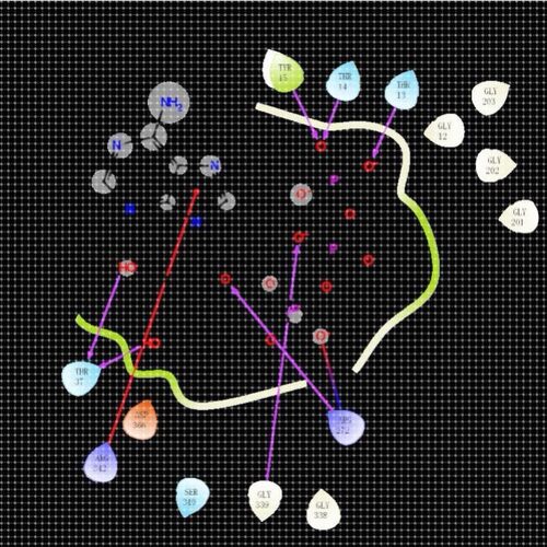 清北博士团队虚拟筛选/分子对接/蛋白互作/网络药理学/多肽对接