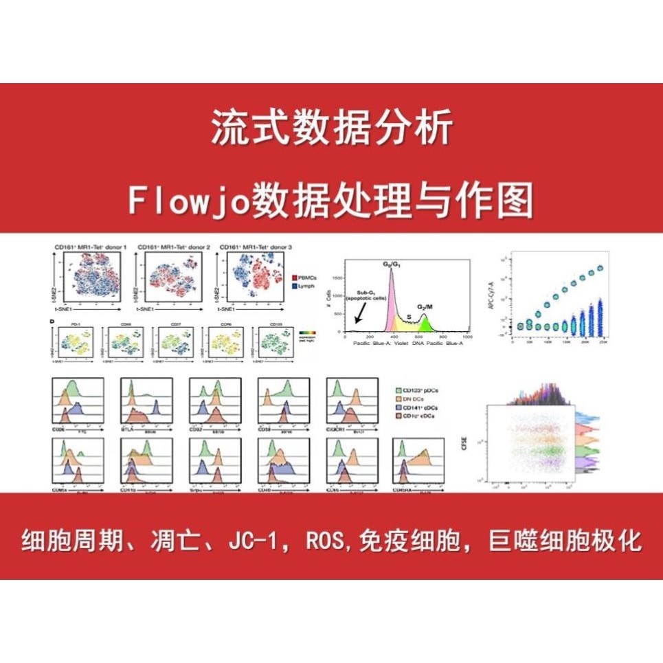 流式数据分析-flowjo细胞周期凋亡免疫分型ros增殖专业快速优质
