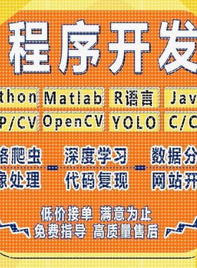 python代做编程matlab代码帮跑通深度学习机器R语言yolo算法覆现