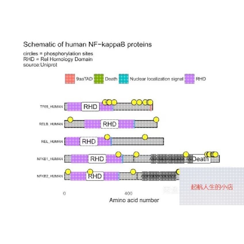 医学生信分析单细胞测序转录组TCGA GEO数据库挖掘分析服务