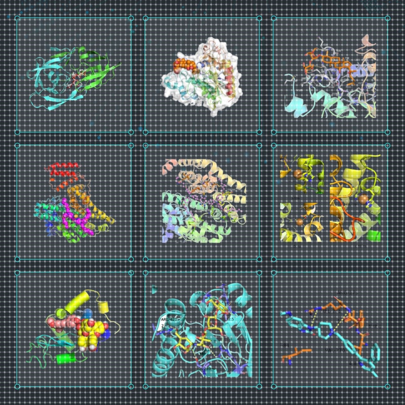 分子动力学模拟 Gromacs lammps MD模拟 分子对接 分子动力学