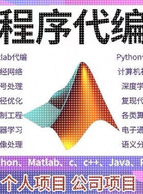 matlab代编程序python代码深度机器学习图像信号处理算法通信彷真