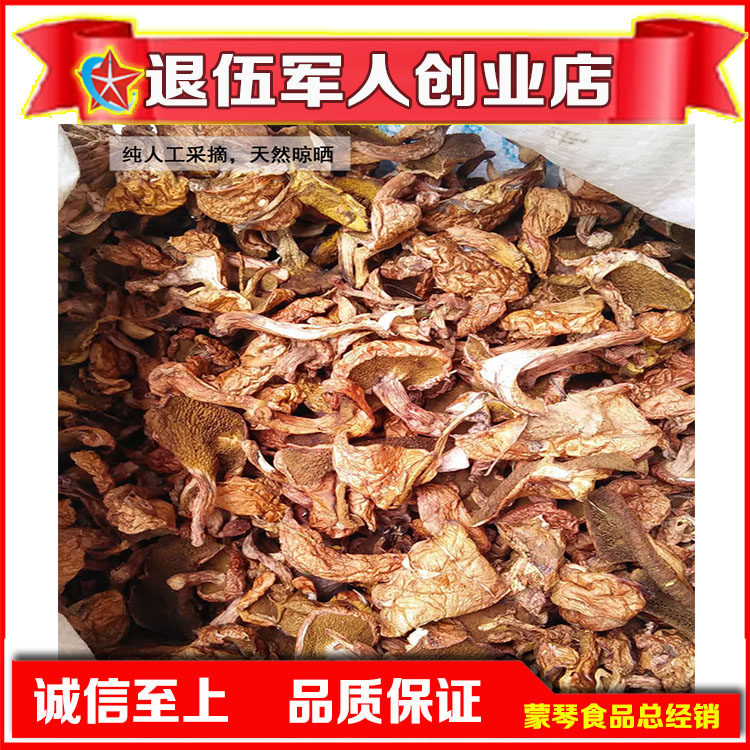 内蒙特产伦贝尔松树蘑菇松菇松蛾黏蛾子粘团子菌蘑菇干货