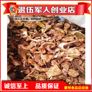内蒙特产伦贝尔松树蘑菇松菇松蛾黏蛾子粘团子菌蘑菇干货