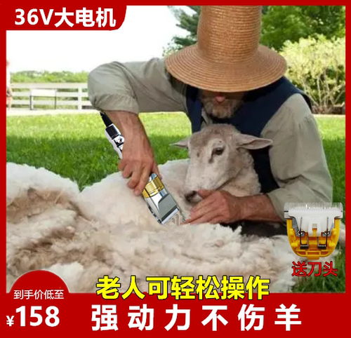 利特锐专业羊毛电推剪大功率不卡毛剃羊毛的电推子绵羊绒山羊脏羊
