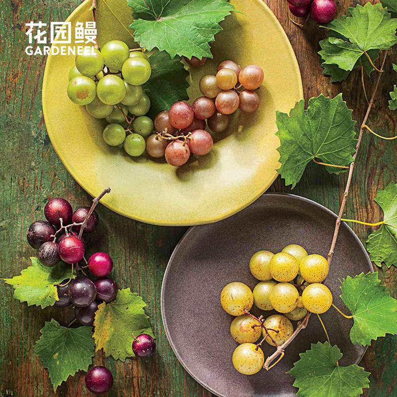 花园鳗藤本抗病虫害圆叶葡萄