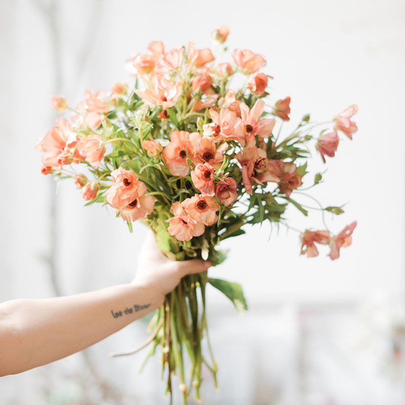 蝴蝶花毛茛种球球根秋植多年生观花草本植物洋牡丹花量大阳台庭院