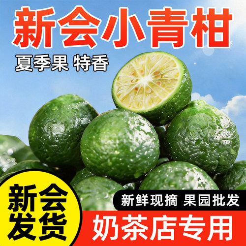 新会小青柑鲜果小金桔新鲜水果金桔柠檬奶茶店专用小青柠青桔金橘